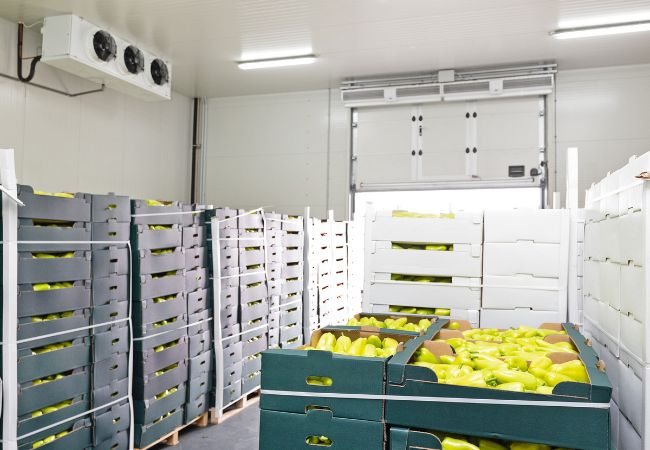 Supporting Reliable Food Processing & Cold Storage Operations